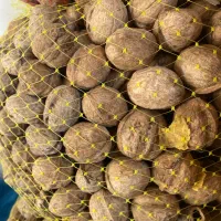 پوست کاغذی|خوردنی و آشامیدنی|زند, |دیوار