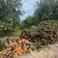 خرید چوب