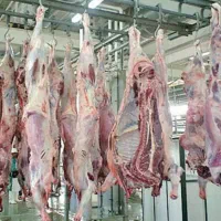 قصابی سیار گوسفند زنده بز بزغاله