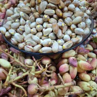 همه چی موجوده|خوردنی و آشامیدنی|قم, تعویض پلاک|دیوار