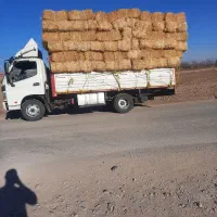 کاه جو  سامان