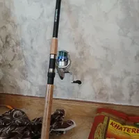 لنسر