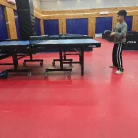 حریف تمرینی پینگ پنگ