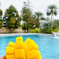 اجاره روزانه استخر