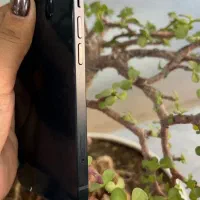 آیفون 13|موبایل|سبزوار, امیر کبیر|دیوار