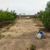 باغ نیمه ساخت