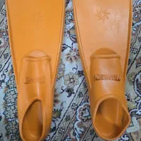 فین شنا مارک  mississipi