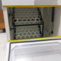 دستگاه جوجه کشی ۸۴تایی اتوماتیک