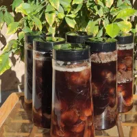 سیر ترشی ۷ ساله