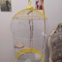 قفس پایه دار بلند|لوازم جانبی حیوانات|کرج, گلشهر|دیوار