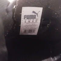 کفش سالنی فوتسال|کیف، کفش، کمربند|مشهد, حجت|دیوار