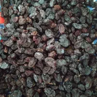 کشمش گوشتی و کاملا بهداشتی|خوردنی و آشامیدنی|ایوان, |دیوار