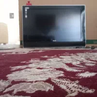 تلویزیون