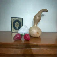 کدو خشک شده برای دکور وفنگ شویی