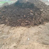 کود یاهمون انبارپارسالی گاو