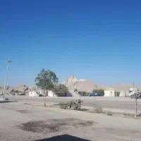 راننده با ماشین