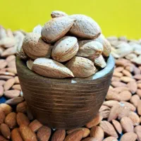 بادام تلخ