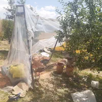 حفر چاه چاه کن و چاه کنی