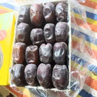 خرمایی درجه یک باغ دشت بم|خوردنی و آشامیدنی|بم, |دیوار