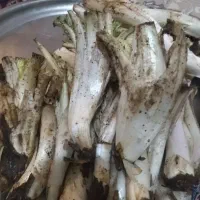 کنگر سرولایت اعلا درجه یک