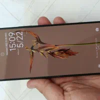 Poco F5 256/12G|موبایل|قم, پردیسان|دیوار