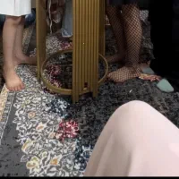 ۲عدد فرش ۱۲ متری مشابه هم|فرش|گرگان, |دیوار