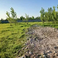 فروش یک قطعه زمین  مسکونی|فروش زمین و ملک کلنگی|رشت, سیا اسطلخ|دیوار