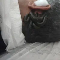 ماساژ درمانی خیاط