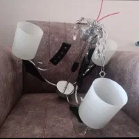 لوستر زیبا و سالم