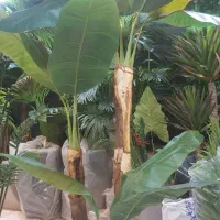 درختچه تزیینی|گل مصنوعی|نظرآباد, رسالت|دیوار