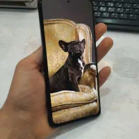 note 11 pro|موبایل|چهاردانگه (تهران), |دیوار