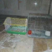 قفس فلزی
