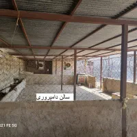 فروش فوری دامداری صنعتی باغ مرکبات|فروش دفتر صنعتی، کشاورزی، تجاری|لالی, |دیوار