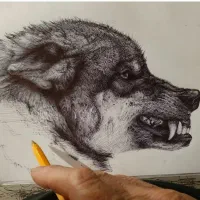 نیازمند مربی و کار آموز نقاشی