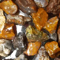 سنگ شجر زیبا|کلکسیون اشیاء عتیقه|کرمان, |دیوار