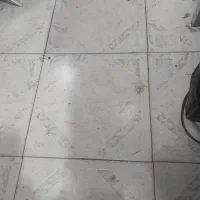 فلش پیدا شده