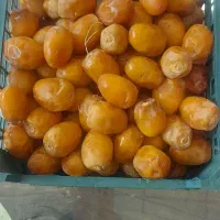 خرما برحی|خوردنی و آشامیدنی|قم, خاکفرج|دیوار