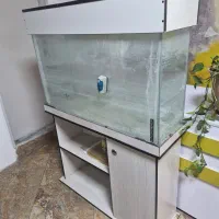 آکواریوم|ماهی|هشتگرد, شهرک ایران خودرو|دیوار