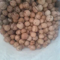 گردو پست کاغذی