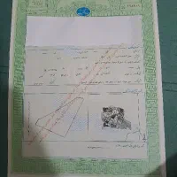 زمین گردخون