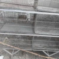 قفس محکم وقدیمی