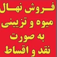 فروش درخت میوه و تزیینی چند ساله