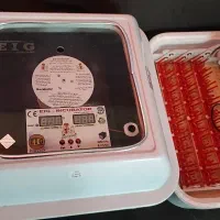 دستگاه جوجه کشی