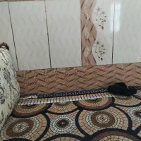 پلاسترزن هستم