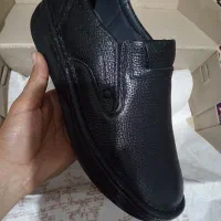 کفش|کیف، کفش، کمربند|بیرجند, |دیوار