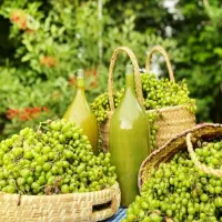 آبغوره تازه خانگی