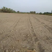 زمین-برای-اجاره