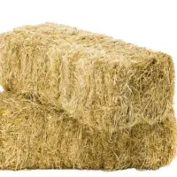 ۱۰ تن پخل گندم