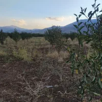 باغ سیب مرگور روستای گارانه و سه گرکان 6500 متر|فروش دفتر صنعتی، کشاورزی، تجاری|ارومیه, |دیوار