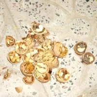 گردو درجه 1 مجود شد حراج|حراج|بافت, |دیوار